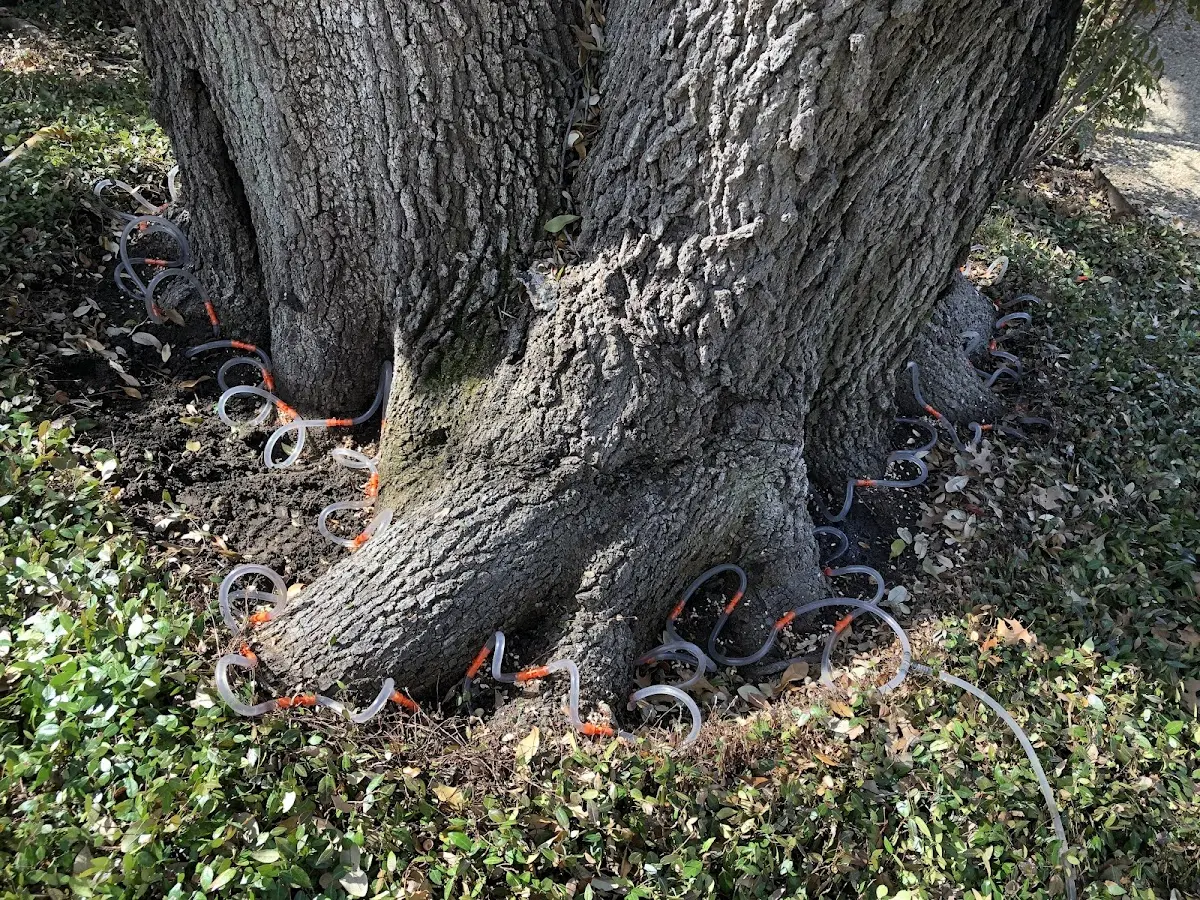 Detailed Shrub and Hedge Trimming job site in Atoka