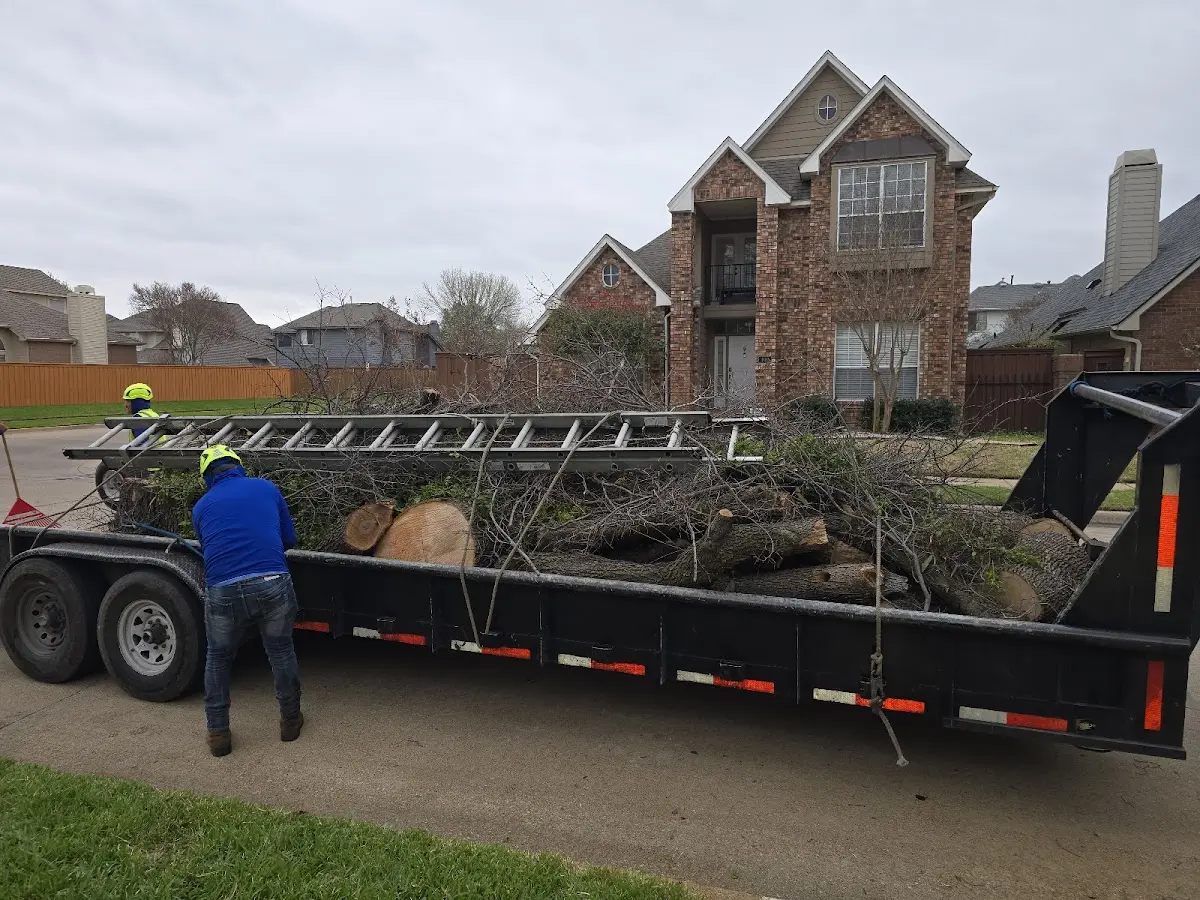 Expert Tree Fertilization with proper safety equipment in Atoka